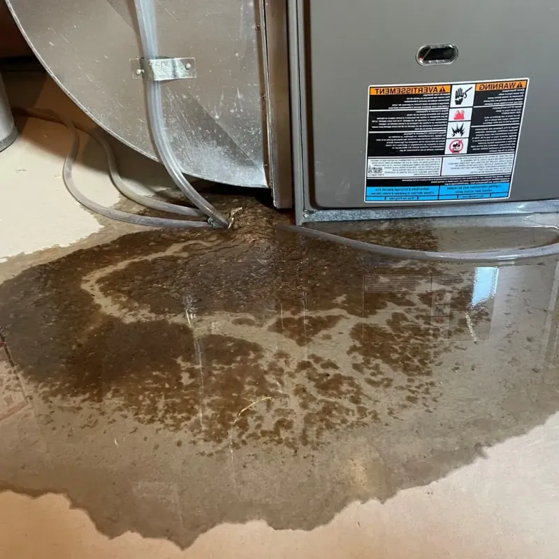 Pipe Burst and Leak Restoration in Forest Glen, MD
